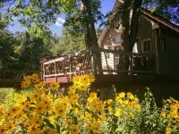 Tree house  lots birds  great location . ..... lots to do all summer long ...... - Wi-Fi