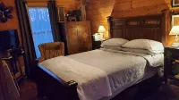 Cozy Cabin on 11 acres w/ Lake&Mtn Views. wifi, great cell svc moderated AC.