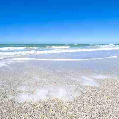 WE ARE READY FOR OUR GUESTS TO RETURN AND ENJOY INDIAN ROCKS BEACH! Fitness & Recreational Facilities