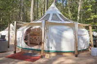 Mystic Woods, Ultimate Glamping 3 Tents, Sauna, 2 hot tub, & 3 firepits - Homestays