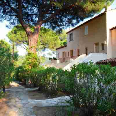 Apartment with pool, 300m beaches Tahiti, Moorea, Ramatuelle, St-Tropez. Hotel Exterior