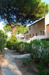 Apartment with pool, 300m beaches Tahiti, Moorea, Ramatuelle, St-Tropez.