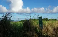 Hana Ocean Palms Bungalows - พร้อมWifi