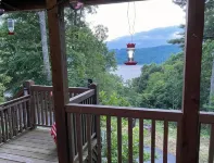 2 Views!  Front view of Lake Glenville & back view of Christmas Tree farm! - Chalets