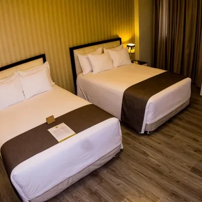 ليماك هوتل Hotels near استاد سان ماركوس