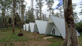 Awana Resort