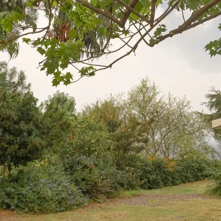 in the botanical garden