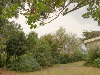 in the botanical garden