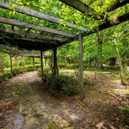 Spacious Mountain Home: Pickleball, King Beds, Lg Kitchen, Arcade,Hiking, Remote