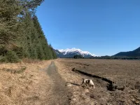 Eagle’s Nest River and Mountain View.  Walking Distance to the Airport.