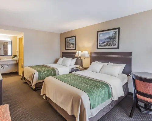 Comfort Inn on the Bay - Strand
