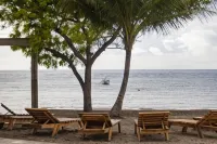 Dive Spot Asia & Brumini Beach Resort - Beach