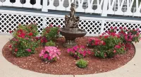 Branson Victorian Inn - Haustierfreundliche