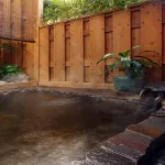 Ryokan Ginrinso Kotobuki - น้ำพุร้อน