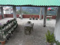Den Homestay - 民宿