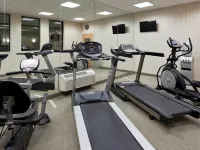 智選假日套房飯店布盧明頓N -馬丁斯維爾 by IHG - 健身房
