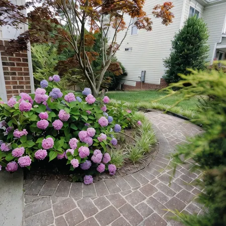 Charming 3-bedroom basement with private entrance in a house in West Cary NC