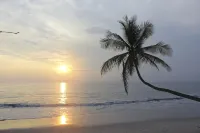 Ocean View, Full Time Staff, Concierge Services. Winner 2013 - 2026 Top Rental - Wi-Fi