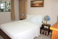 Birdie's Nest condo #2 with ocean view - Wifi