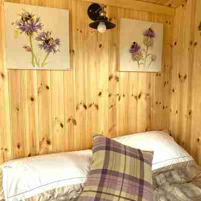 Woodhead Shepherds Hut - Sleeps 2 - Parking Rooms