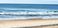 Newly renovated- beautiful Condo near the Beach- Sleeps 4 Linen /Towels Provided - Condos