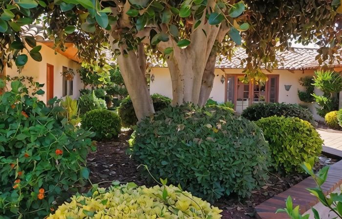 Detached guest house on private gated Spanish Estate with a pool, Temecula close