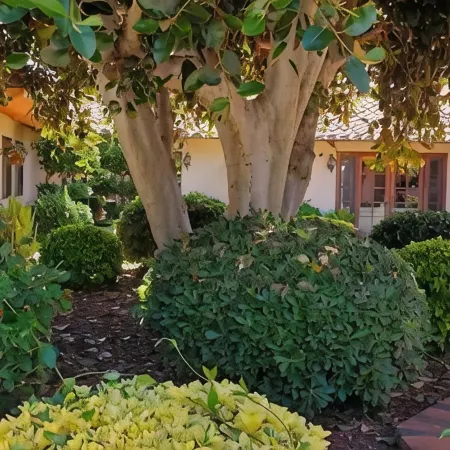 Detached guest house on private gated Spanish Estate with a pool, Temecula close
