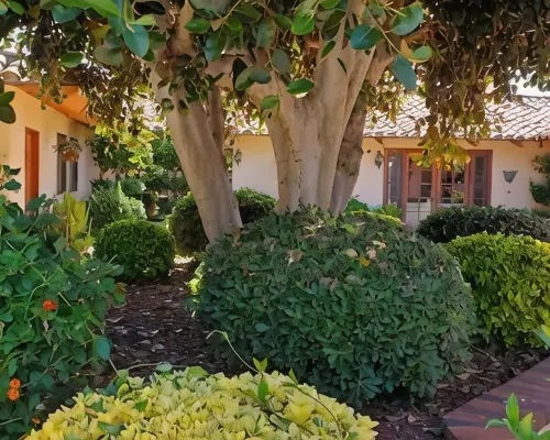 Detached guest house on private gated Spanish Estate with a pool, Temecula close Ξενοδοχεία στην πόλη Fallbrook