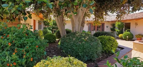 Detached guest house on private gated Spanish Estate with a pool, Temecula close - Homestays