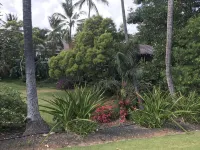 Just Reduced Rate for August, 10 Min Walk to Poipu Beach2 Bedroom with Air - 2성급