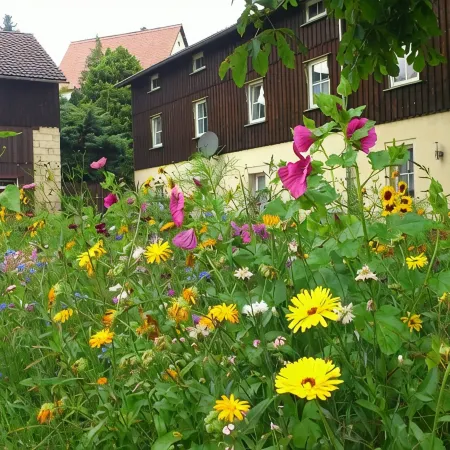 Ferienwohnung, Struppen