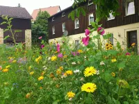 Ferienwohnung, Struppen - Huoneistot