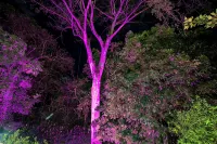 Hotel Casa del Arbol Manuel Antonio - Adults Only - 2-Star