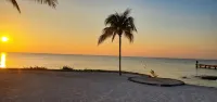 Costa del Sol Beachfront Villa - Seasonal Value Rates & Epic Sunsets -  Casas de vacaciones