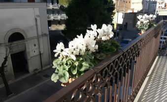 B&B Saffi
