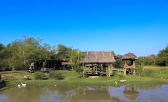 Farm Cabin Hang Tueng Farm Stay Vacation Rental Chiang Mai