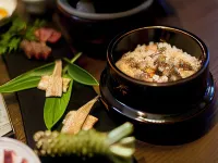 Gokuraku Onsen Takumi No Yado Hotels in Kobayashi