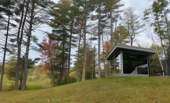 Vermont Mirror House