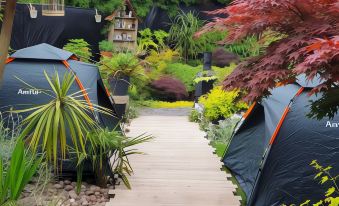 Tropical Garden Oasis Rooms