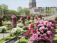 호텔 리솔 사세보