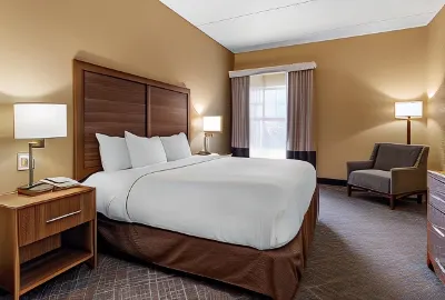 Comfort Inn & Suites at Stone Mountain Hotels in Snellville
