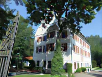 Hotel Schloss Lehen Отели в г. Неккарзульм