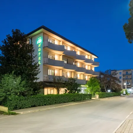 Hotel Parco dei Pini - 100mt Dal Mare