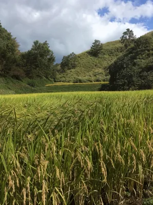 Oogi Onsen Oogiso Рядом с отелем Photos