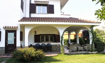 Domus Dams B&B