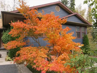 Creekside B&B