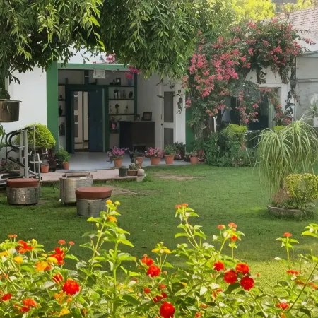 Green Serene Abode