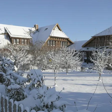 The Cosy Home