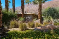 Desert Hills- 21 and over