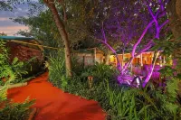 Gala Gala Eco Resort Hotels in 